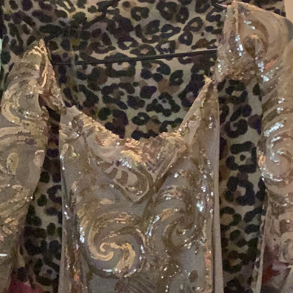 See through sequined dress size small. Flesh toned. Long sleeve short dress